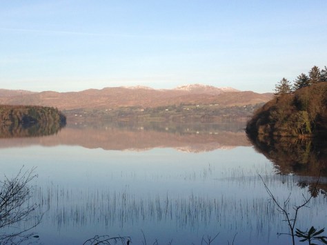 unadjustednonraw_thumb_26f