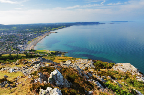 Screen Shot 2017-06-14 at 12.20.40